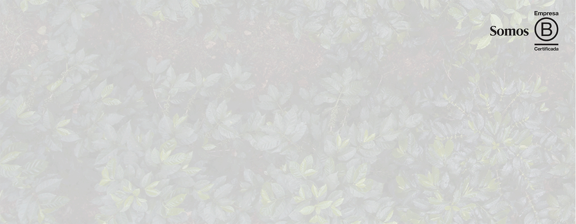 3-BANNER_TAMANO.gif